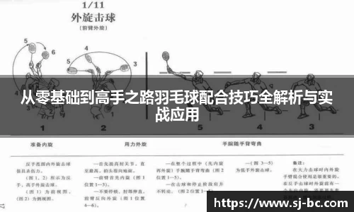 从零基础到高手之路羽毛球配合技巧全解析与实战应用